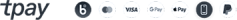 tpay-30px